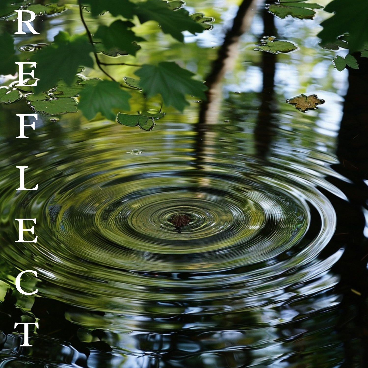 Reflect