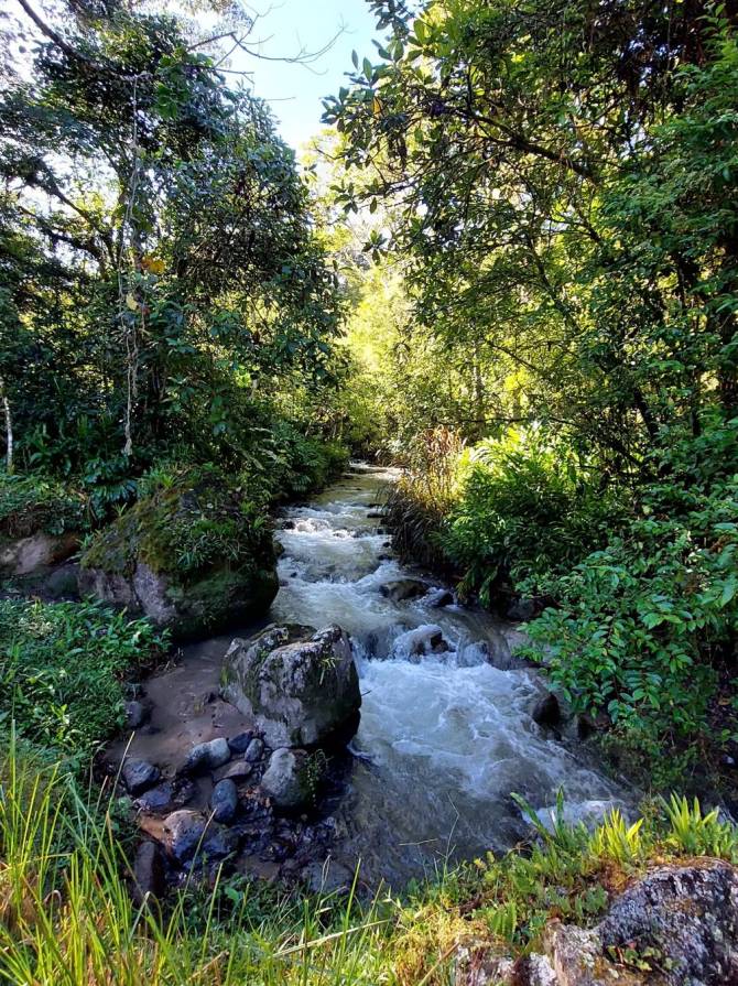 Always flowing....#ecotravel #ecotourism #travel #sustainabletravel #nature #travelgram #slowtravel #ecofriendly #sustainabletourism #wanderlust #responsibletourism #adventure #ecotraveller #